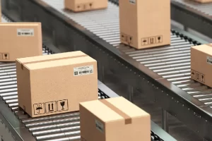 Kutu Üretimi Yapan Firmalar